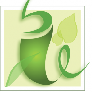 11223849_483316358495663_5513090849927134355_n