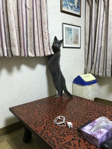 CF27ECA0-D2D6-418A-BCFA-8B7D6F04AE7A