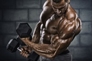 Body Builder Performing Dumbbell Biceps Curls