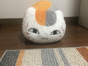 1D2576DF-DA04-47C0-8329-474ECF1CEA43