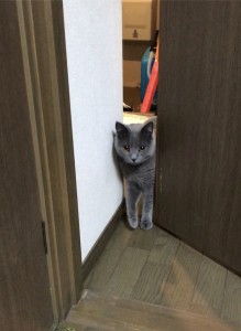 343A122D-46EB-41EE-8846-2FB0B19B7110