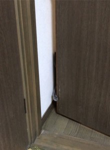 57833CB4-0DD6-46F8-A088-C41E5B7B506F