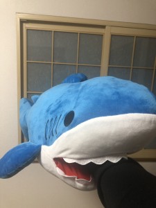 951E9EC9-F365-4CD9-A240-78CF93EDFA71