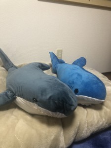 C34BA24B-C1B4-4B00-B6DD-B63ECD6EC1D7