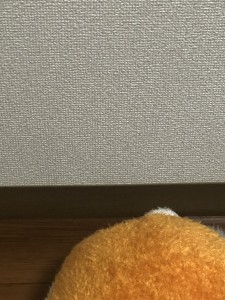 D9C32E19-ED34-4AF3-8A64-FA229048D36E