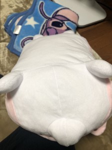 53E9D2B0-EC03-45CC-9BCA-1F06048894F8