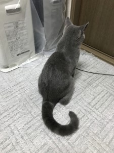 DEFA19DA-83F2-4B9D-B5BD-84B57F82960D