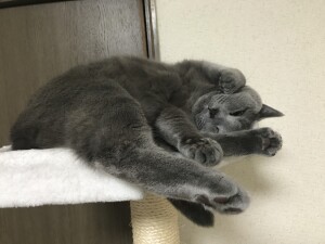 19E4E2EB-884A-4134-A089-58DB81A79477