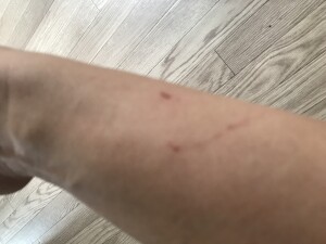 9869505D-416E-424C-9583-DD40FCA43BAD