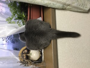 383078A0-99D5-410E-A165-9F015CA5A793