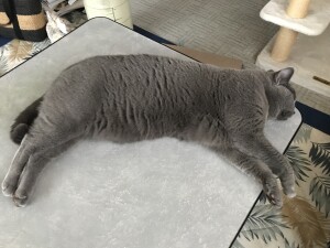 08B39F75-5544-4F31-ADE0-898254C90447