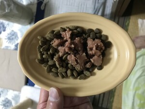 26BB94E5-2A9A-4B90-91E3-39BF26B5D085