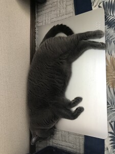 39A8E6E1-5BF7-47F7-9236-7D8D52E14FFC