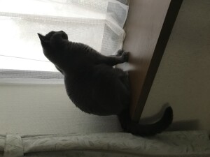 3A38559C-7E3C-4254-940A-BBB388996B0E