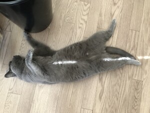 679FE7BB-E1B5-4C34-9685-A335A1657530