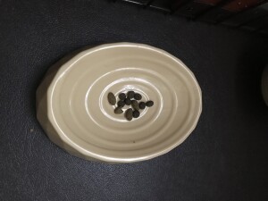 81AD0CA7-FEA3-4940-A95C-C51D329B8BDE