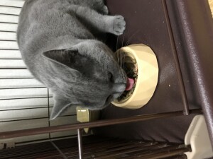 8CFA33F9-409C-4B66-A069-B52953036A8A