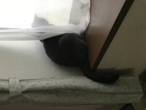 B39C0648-BFBB-4ACC-9C36-53FB9A83121E