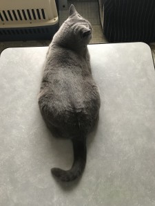 33D3F283-F003-468B-87E8-B04A1A007454