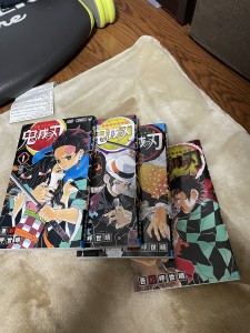 3C62BC93-495D-4EDA-B62E-338332E18B5C