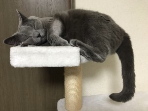 7CF49D8D-C4FD-4BE7-9295-463B97C19173