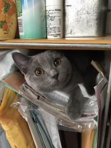 B198C1E4-72EA-439D-AFF9-ED2D897052D0