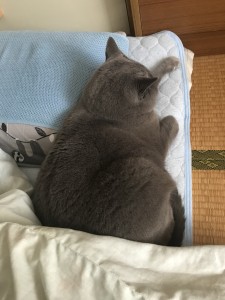 3D629A82-3C9D-4F5A-B7F4-9F59BF128F9C