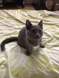 5EDA18AB-94B4-4502-84A9-00C4B390A8D3