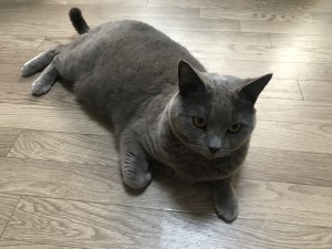 9E21FB87-5462-48AB-B195-BFC1C0948E1C