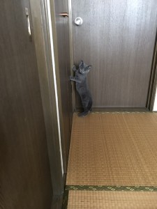 D0B6CE76-9C4A-42A0-9282-A864FAC822AE