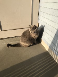 27D5324D-0DE7-4FC7-AE3C-B8CD1B02CE61