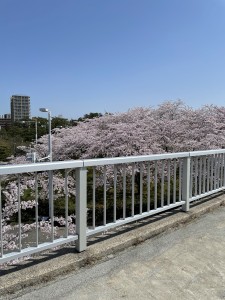 55859949-E7A0-4E5E-9D8E-F3996776E84F