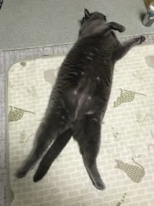 77E5470E-42B5-4705-BC14-9C308863E9D7