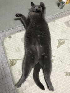 7C3999F0-7B93-44C3-98CC-1BCC69905DEB