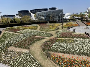 CC89D6C4-66F4-4AD8-933A-9993306DBCB6