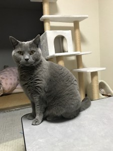 E3394E1C-EF27-4EC4-8469-10ED260B4F9F