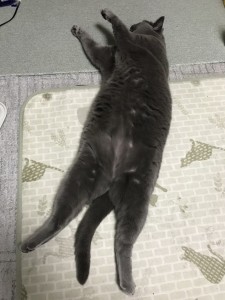 E61B8608-8560-4ED9-9734-A27C3289F5EA