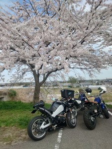 20220413_104219-e1650253272750