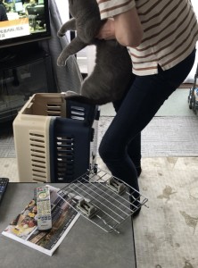 19346256-F56C-4A40-A4F6-6A3C52D0E621