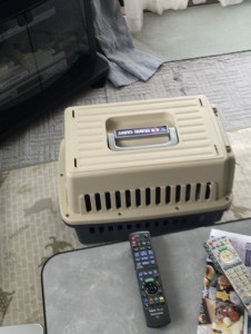 4C6CD440-FD9D-47B3-8C0D-219FEDDE1CB4