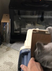 993BCE84-2427-4034-A483-B607504A7C7B