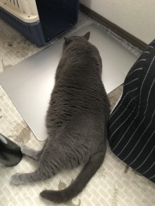 9DE51F9C-E900-48DE-9785-796846E1AE5C