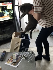 BEDC44FF-C0D1-4211-8FB7-1A70272745AF