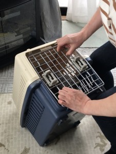 C25278D3-F675-4F4A-A782-C091A0A52D70