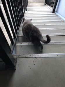 0FA2A96F-46B9-47F6-8944-E571C97A5CFE