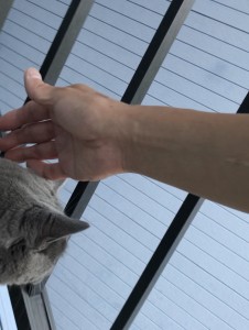 10E46E32-6FB9-42B5-B613-A8B7A5B3772A