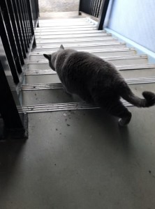 3573A88C-C5A8-4827-965A-9B3BD315FF71