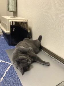 4FAC2FD4-454B-4EC5-BECA-8C20261F7704