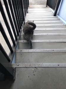 66EAF42A-0DDD-42CD-A2AF-A6A8592DC605