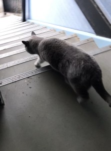 7691423B-BAD2-4C1D-A1BD-DF990174BC4B